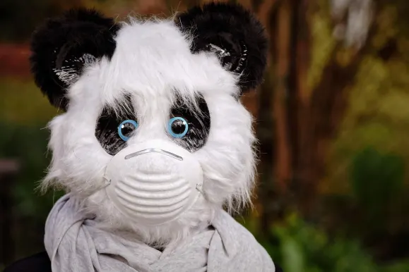 Bitcoza Kasino Podpora